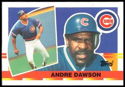91 Andre Dawson